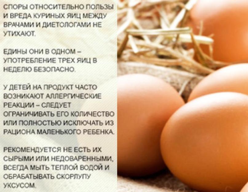 Сколько ккал в сыром курином яйце. Куриное яйцо — калорийность и БЖУ, польза и вред для здоровья