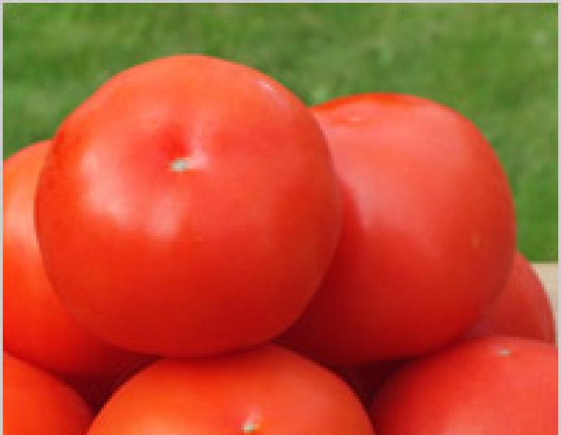 Консервированные красные помидоры на зиму. Рецепт сладких помидоров на зиму: варианты заготовок и «премудрости» домашней консервации