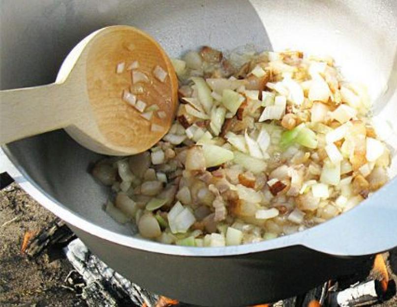 Что приготовить в лесу на костре: лайфхаки и рецепты. Самые вкусные блюда, которые можно приготовить на костре