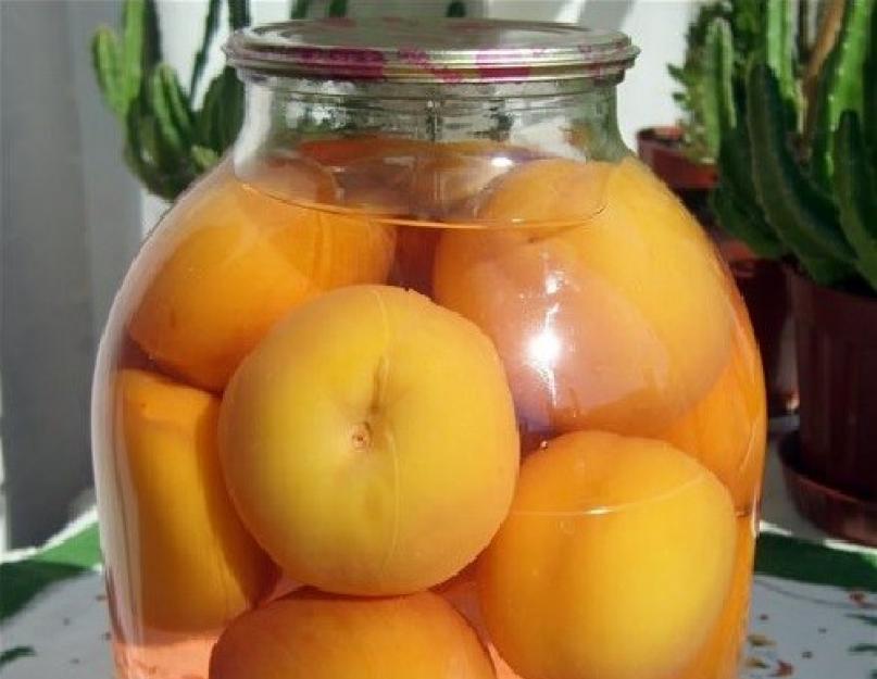 Рецепт консервирования персиков в сиропе на зиму. Пошаговый фото рецепт приготовления на зиму консервированных персиков в сиропе без стерилизации