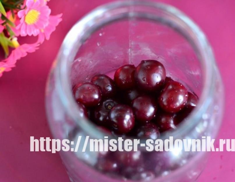 Sirop pour compote de cerises.  Comment faire de la compote de cerises sans stérilisation.  Compote de cerises concentrée