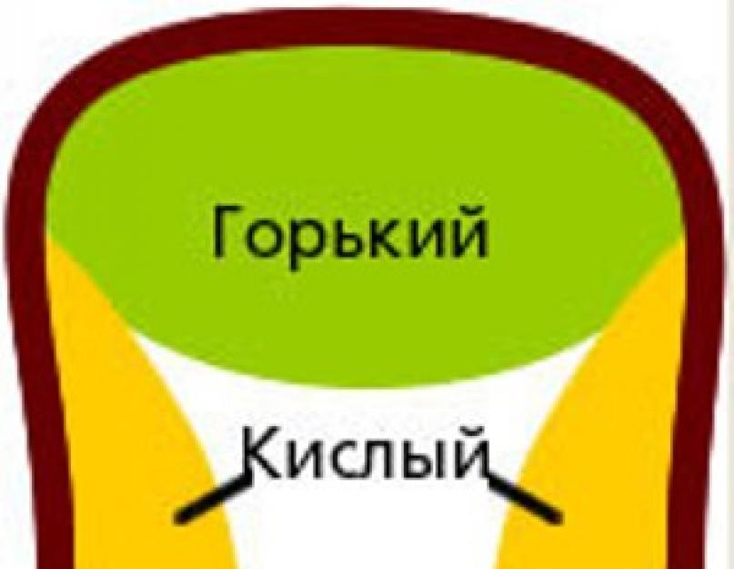 Сколько существует вкусов. Что такое вкусовые рецепторы, какие виды вкуса ощущает организм