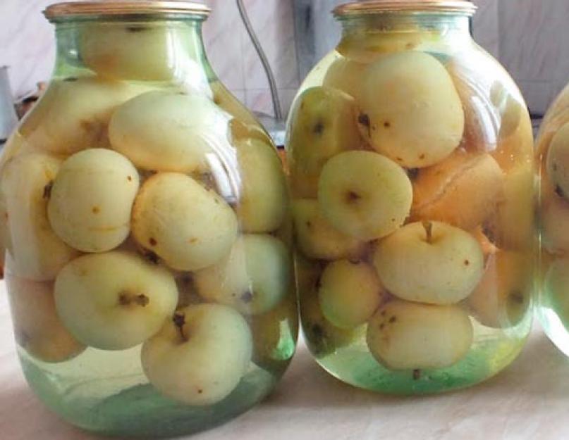 Compote de pommes pot de 3 litres.  Compote de pommes pour l'hiver - préparons l'été en bocaux !  Recettes de diverses compotes de pommes pour l'hiver avec et sans stérilisation.  Ce dont vous avez besoin pour réaliser une délicieuse compote de pommes