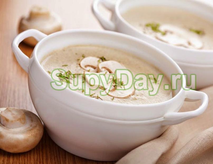 Рецепт приготовления супа пюре. Суп-пюре из брокколи – очень вкусный и полезный рецепт. Суп пюре — подготовка продуктов