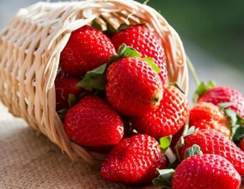 Ешьте клубнику перед обедом. Как употреблять ягоды, чтобы получить пользу? Чем полезна клубника для организма и какие противопоказания? Какие витамины в клубнике