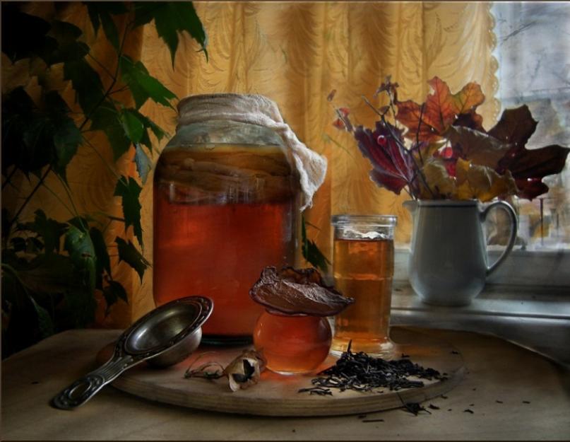Использование чайного гриба. Чайный гриб: все секреты напитка (как вырастить, ухаживать, употреблять). Лечение повреждений кожи, целлюлита