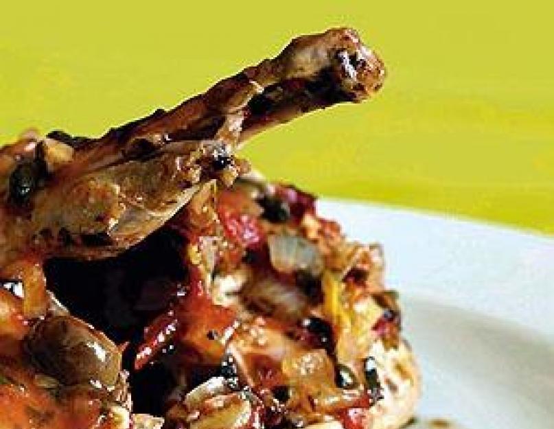 Les plats de lapin sont simples.  Dans une douille allant au four.  Comment cuisiner un lapin.  Recettes.  Comment faire cuire un lapin au four