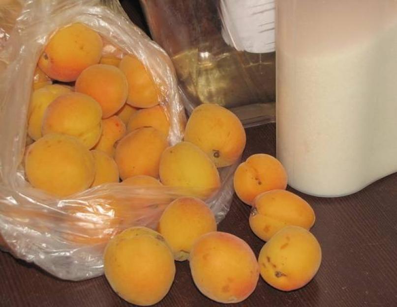 Abricot au sirop : comment le conserver pour qu'il soit délicieux.  Abricots pour l'hiver au sirop