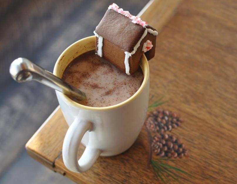 Recette maison de rhum et de cacao.  Des recettes de chocolat chaud étonnantes pour l’automne froid.  Cacao à la citrouille