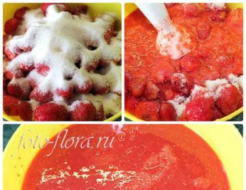 Как заморозить ягоды виктории. Рецепты с использованием замороженной клубники. Общие правила замораживания ягод