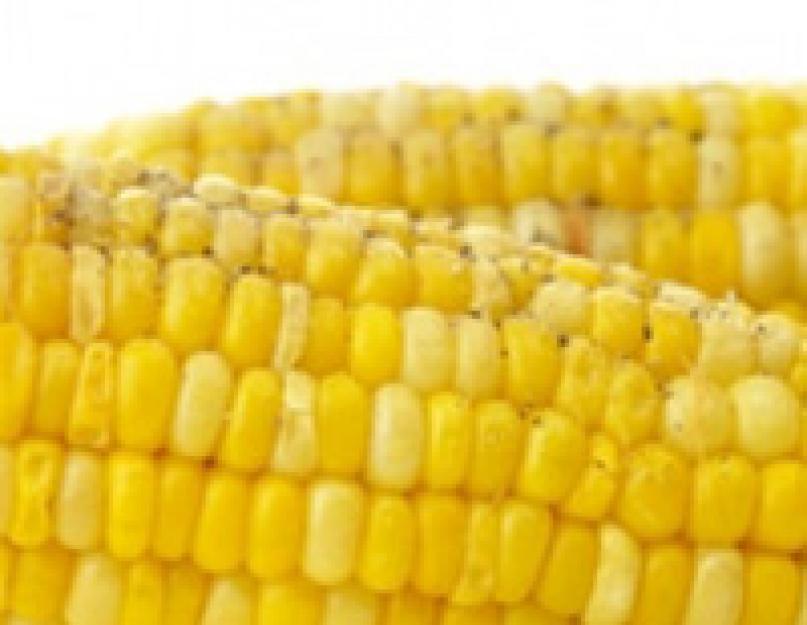 Как сварить кукурузу чтоб она стала мягкой. Как варить кукурузу? Способы приготовления