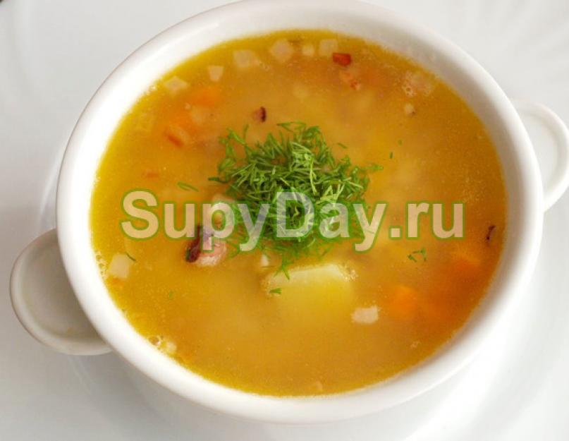 Суп с ребрами говядины. Суп из говяжьих ребрышек: рецепт приготовления с фото