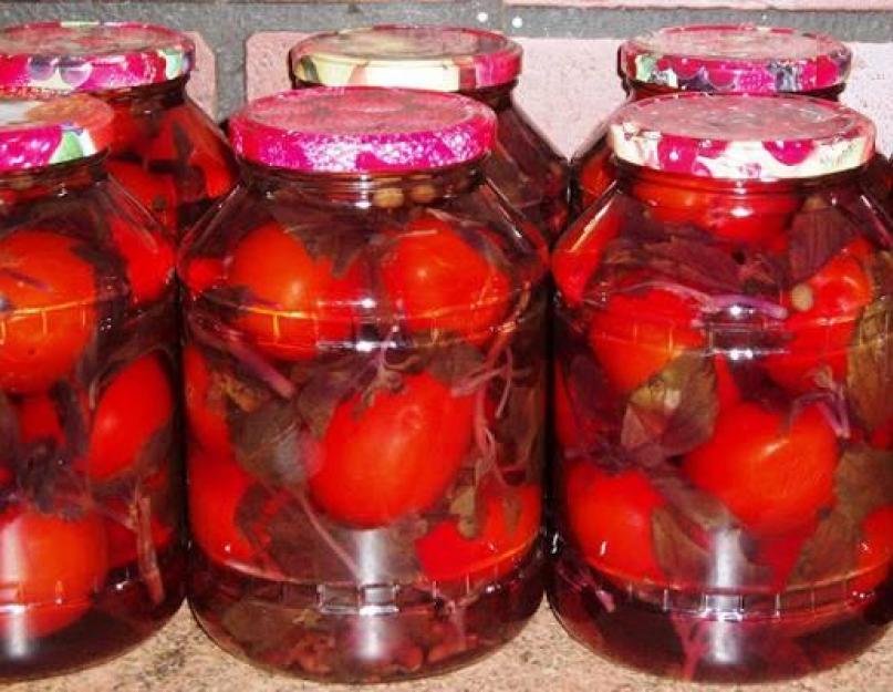 Консервированные помидоры с базиликом и яблочным уксусом. Помидоры (томаты) маринованные с базиликом — рецепты на зиму