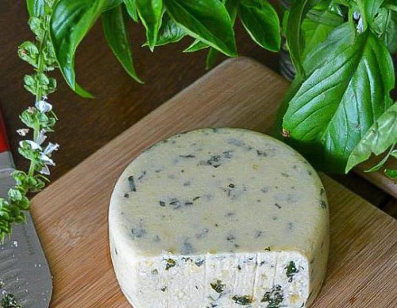 Как сделать сыр адыгейский самому. Секреты приготовления адыгейского сыра в домашних условиях