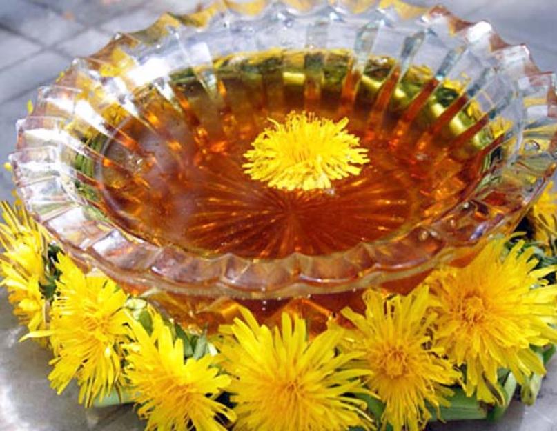 Варенье из цветков одуванчика. Мед из одуванчиков: польза и рецепт приготовления в домашних условиях