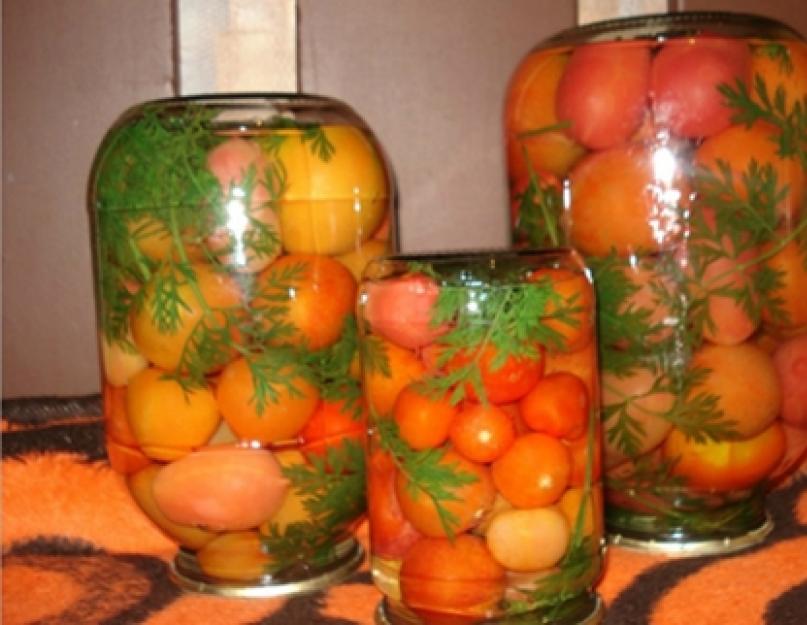 Соление помидор с морковной ботвой. Рецепты маринованных помидоров с морковной ботвой на зиму на литровую банку и срок хранения
