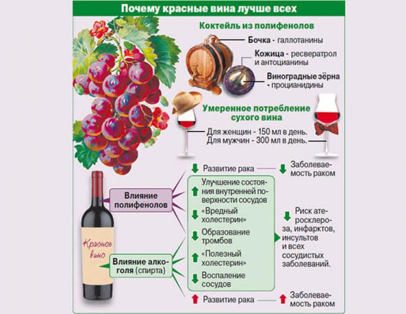 Какое вино пьют при давлении. Полезные вина для здоровья. Сухое вино и здоровье. Полезные красные вина.