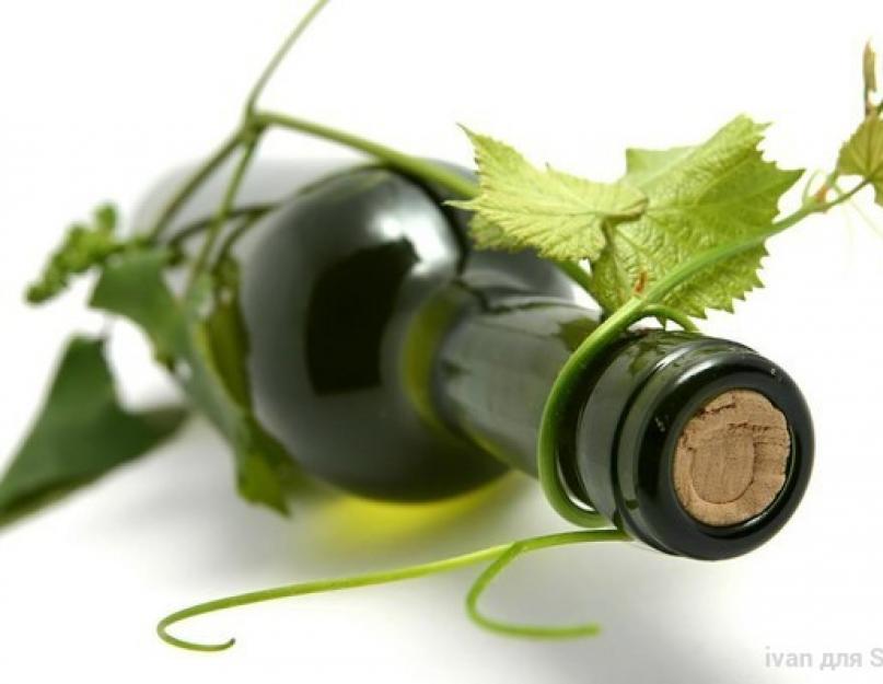 वाइन से बनी स्वादिष्ट शैम्पेन।  घर पर स्पार्कलिंग वाइन बनाना क्या घर पर शैम्पेन बनाना संभव है?