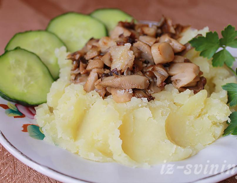 Свинина тушеная с овощами и шампиньонами. Свинина с грибами: вкусное и сытное угощение для домочадцев и гостей. Хозяйке на заметку