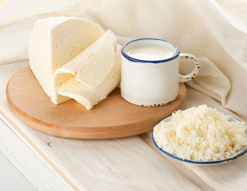 Молочные продукты: плюсы и минусы, о которых надо знать. Молочные продукты — польза или вред