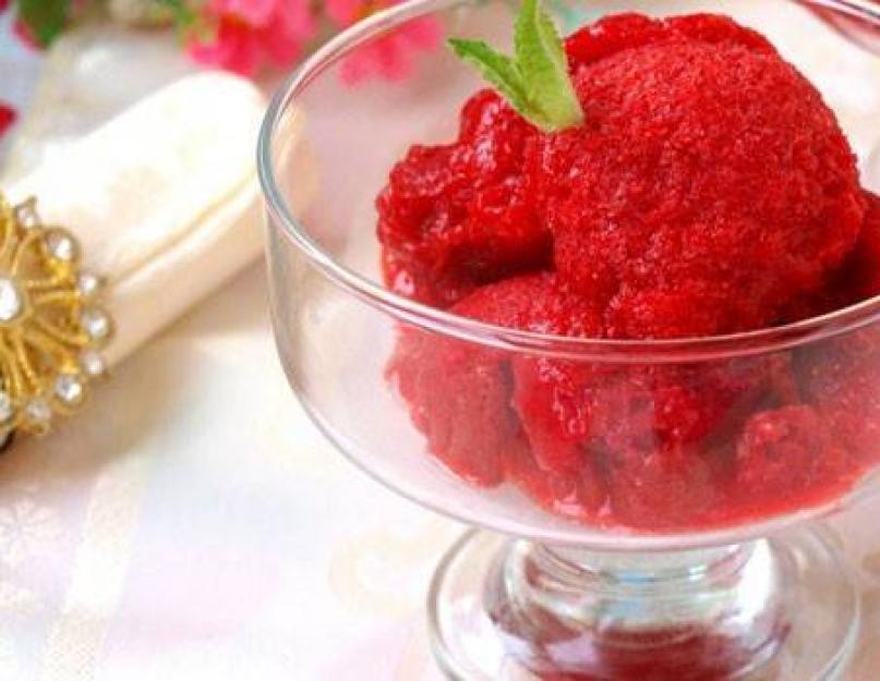 Votre propre entreprise : comment ouvrir un atelier de production de sorbets.  De quoi est fabriqué le sorbet : Technologie orientale et européenne pour préparer le sorbet selon une collection de recettes