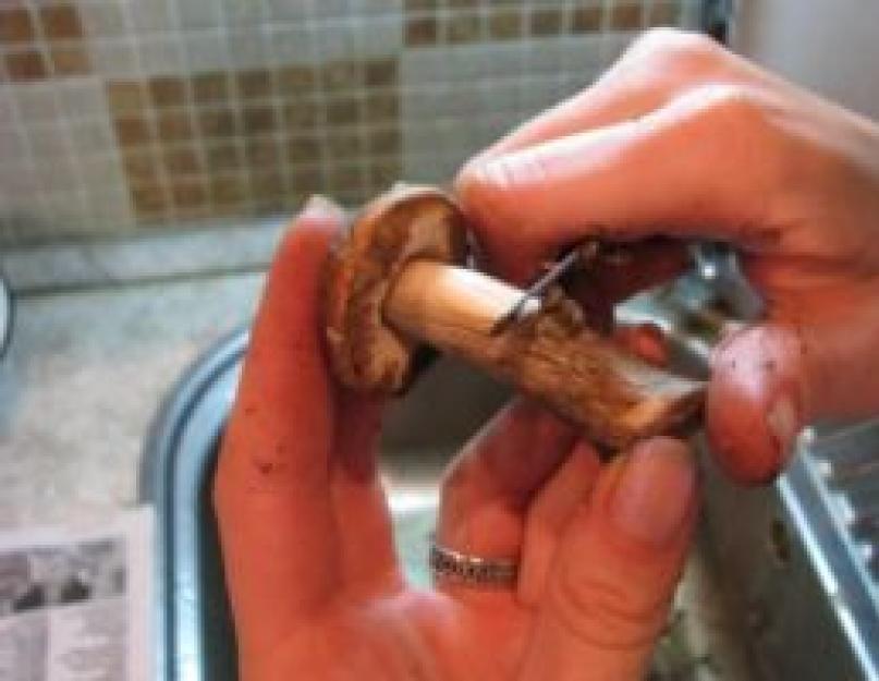 Как сушить белые грибы в духовом шкафу. Как правильно нарезать грибы для сушки. Как хранить сушеные грибы