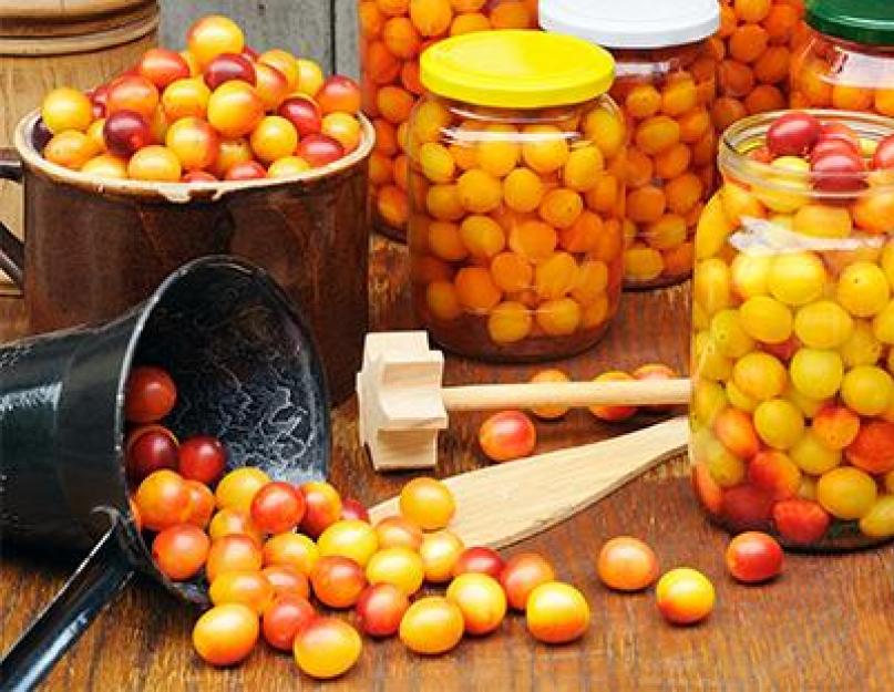 Comment faire de la confiture de cerises et de prunes étape par étape.  Quelle variété choisir ?  Confiture délicate de prunes cerises rouges