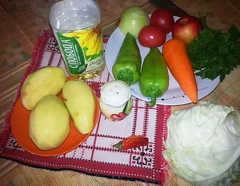 Приготовить щи из свежей капусты и говядины. Вкусные щи из свежей капусты: пошаговый рецепт с фото