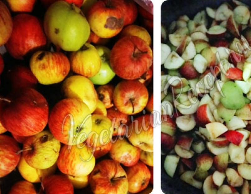 Приготовить яблочный уксус простой рецепт. Яблочный уксус в домашних условиях — простые и лучшие рецепты