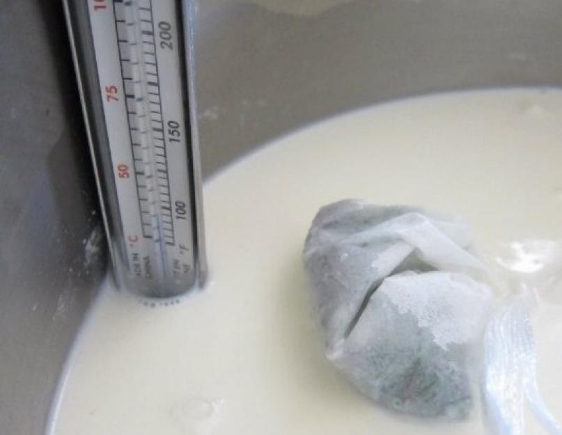 Сыр из козьего творога в домашних условиях. Как сделать козий сыр в домашних условиях Сыр из козьего молока в домашних