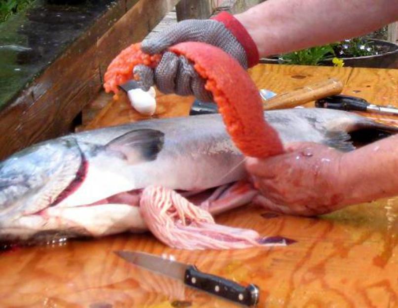 Que signifient les œufs de morue perforés ?  Les bienfaits du goberge pour les enfants.  Préparation du caviar punché granulé