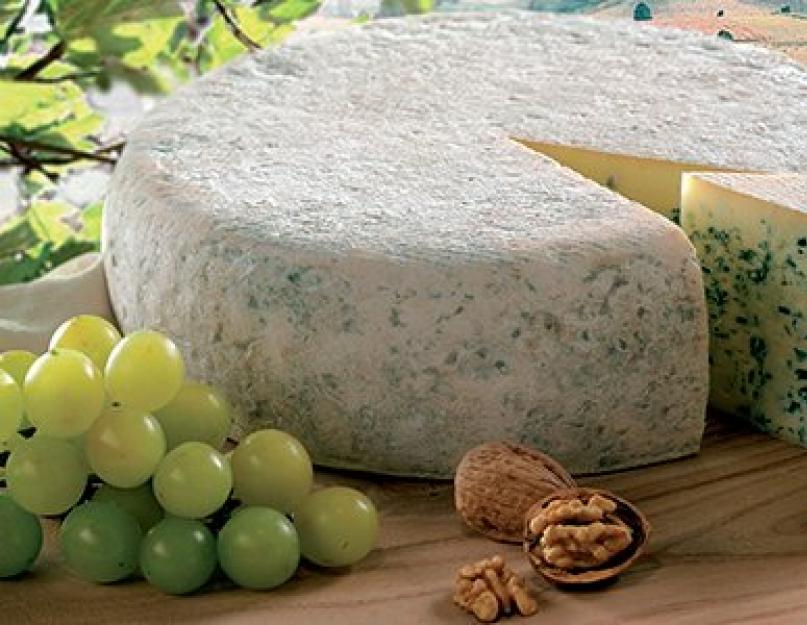 Деликатес: сыр с плесенью. Польза и вред продукта. Голубой сыр с плесенью