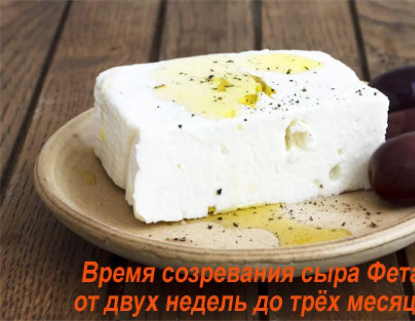 Из чего делают сыр фета. Сыр фета – отличительные особенности и рецепты применения