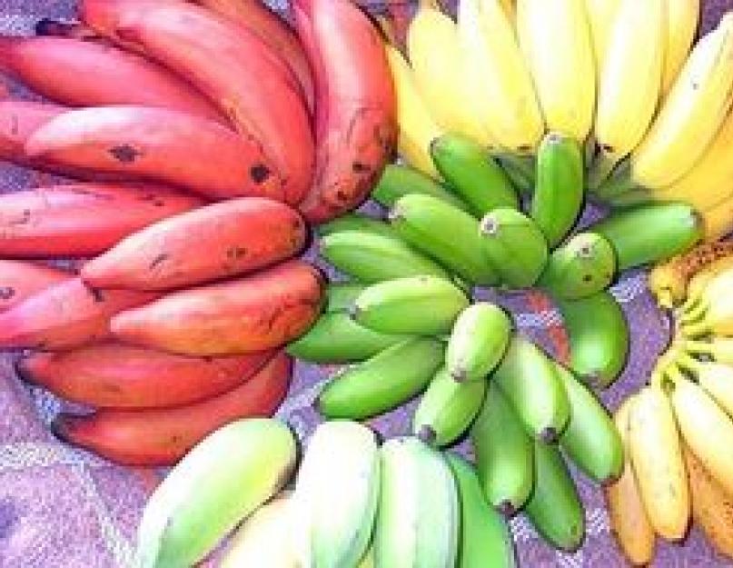 Чем полезен банан для организма человека. Поддерживают кислотность желудка в норме. Вареные бананы – польза и вред