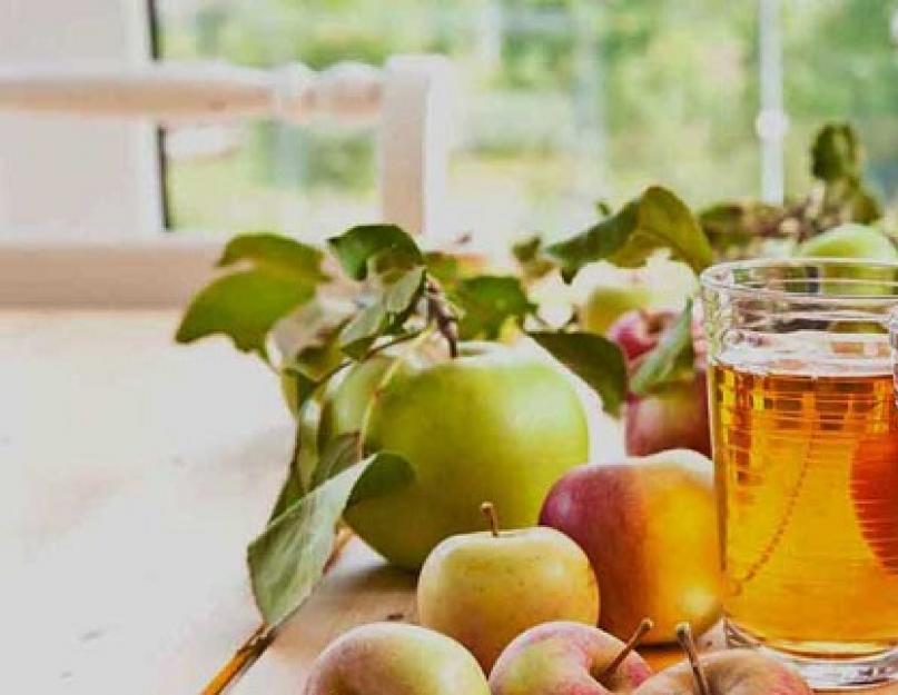 Яблочный сок на зиму: простые рецепты и секреты приготовления. Как правильно варить яблочный сок в соковарке