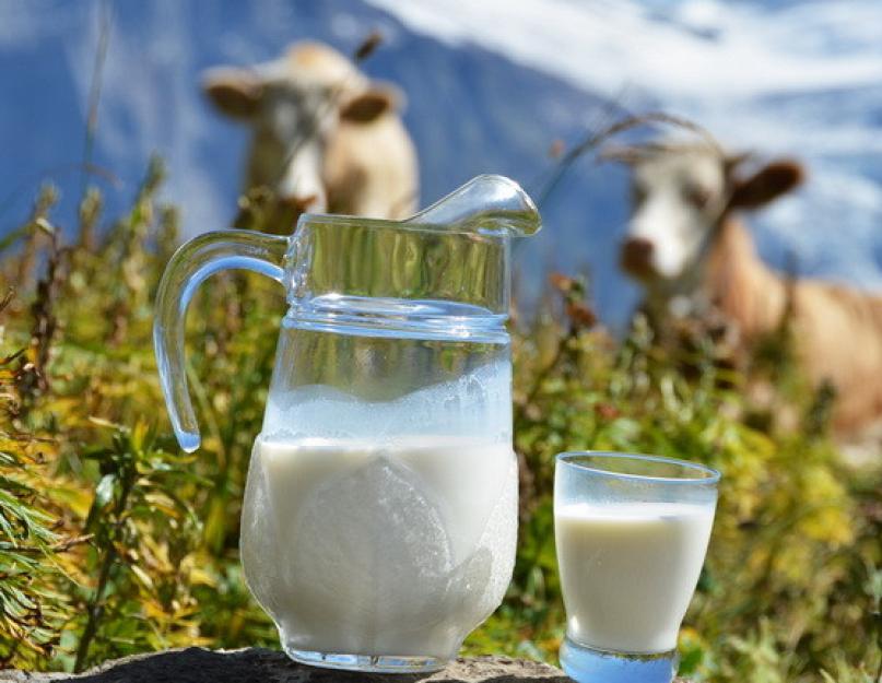 چرا شیر خانگی ترش نمی کند؟  چرا شیر خریداری شده در فروشگاه ترش نمی شود؟  جدید از کاربران