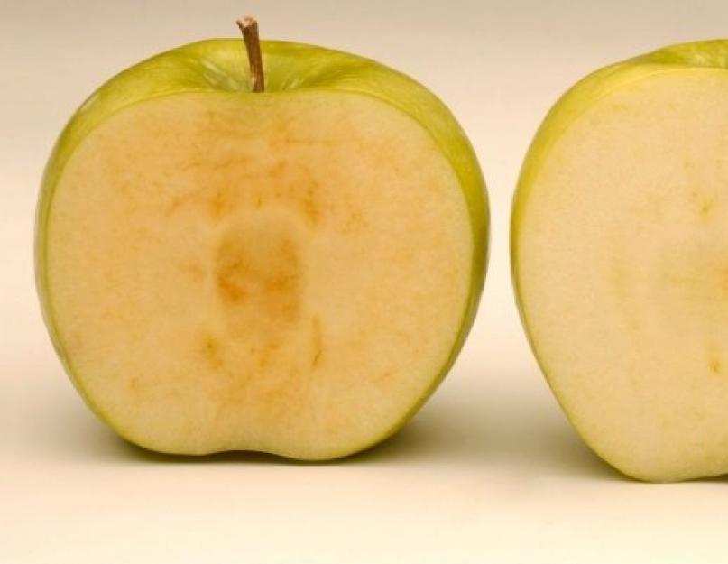 Как замедлить потемнение яблока. Почему яблоки темнеют на срезе