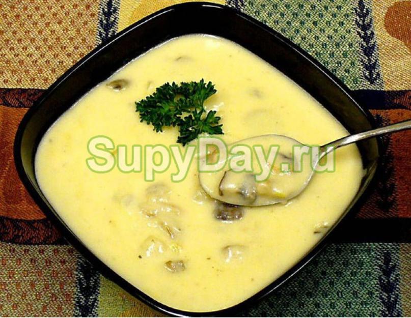 Ang sopas ng keso na may mga mushroom, sariwang damo at crouton ay isang simpleng recipe para sa buong pamilya.  Recipe para sa cream cheese na sopas na may mushroom Mushroom at cheese na sopas