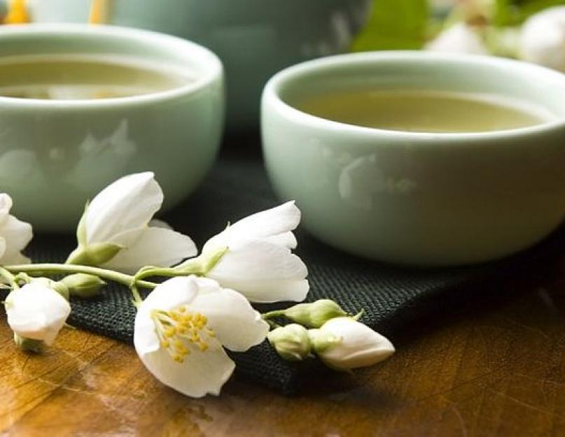 Полезен ли зеленый чай жасмином. Жасминовый чай – чем полезен и как заваривать. Противопоказания к употреблению чая из жасмина