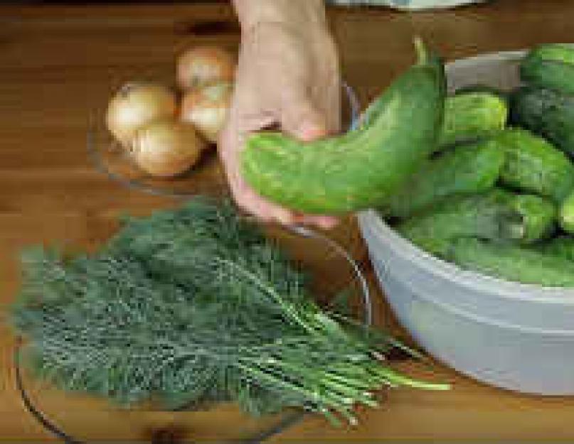 Огуречный салат «Зимний король» — простой рецепт без стерилизации. Салат королевский на зиму простые и вкусные рецепты