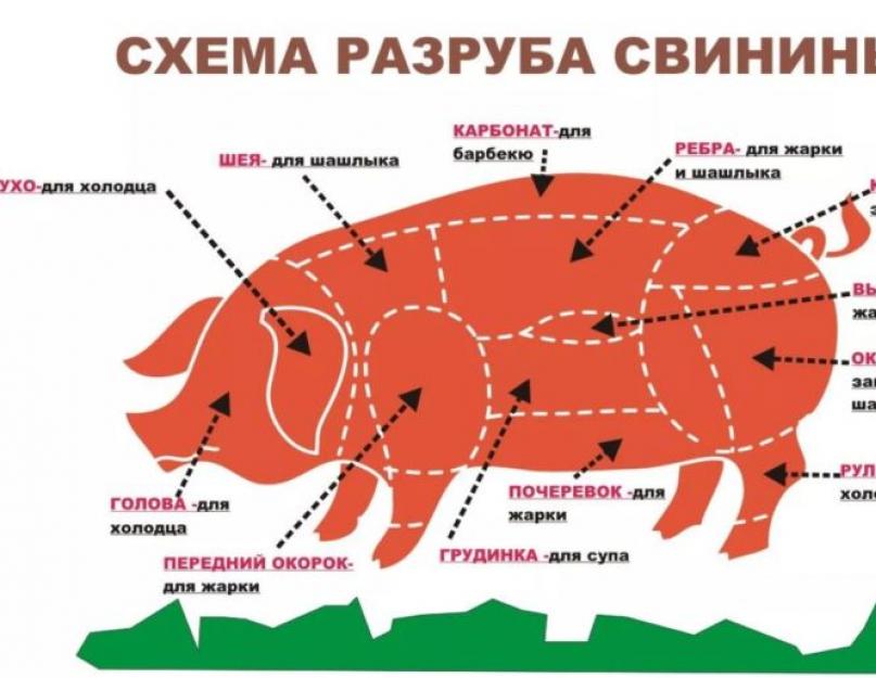 Как правильно мариновать мясо для шашлыка из свинины. Как замариновать шашлык - лучшие способы