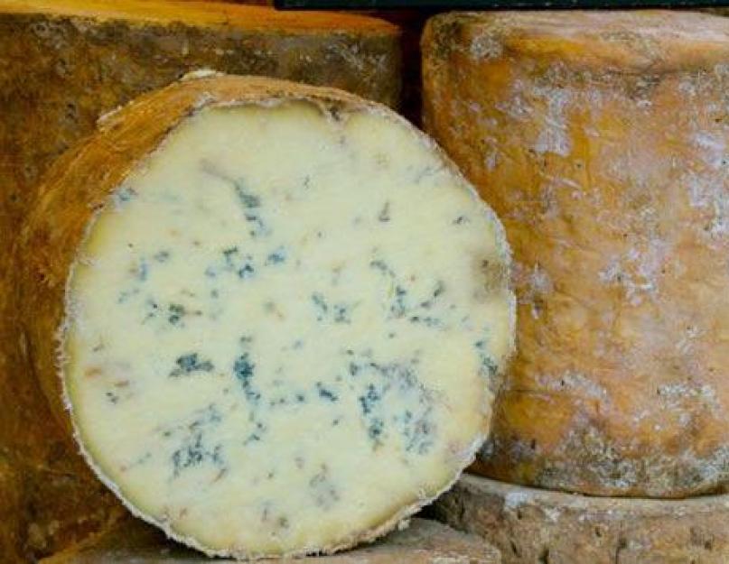 Сыр с плесенью: польза и вред. Сыр с белой плесенью - технология производства, самые известные сорта и использование в рецептах блюд