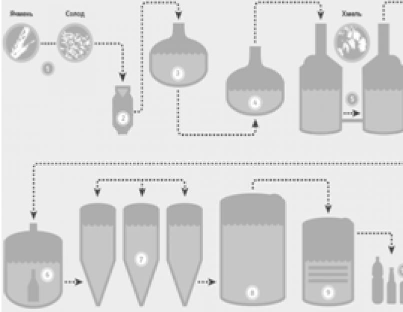 Процесс пивоварения. Технологические процессы производства пива