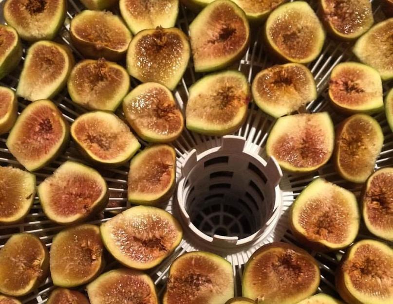 Comment faire des fruits secs à partir de figues.  Quand est-il nécessaire d’utiliser le fruit sucré comme médicament ?  Séchage au sèche-linge électrique