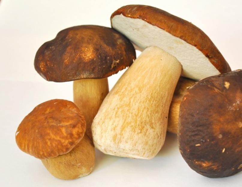 Как готовятся грибы. Приобретение основного продукта. Жареная картошка с грибами и мясом