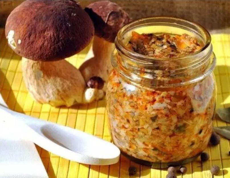 Лучшие рецепты грибной икры на зиму. Грибная икра с морковью и луком — самые вкусные рецепты икры из грибов на зиму