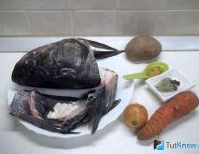 Наваристый и ароматный рыбный суп из головы. Рыбный суп из головы семги