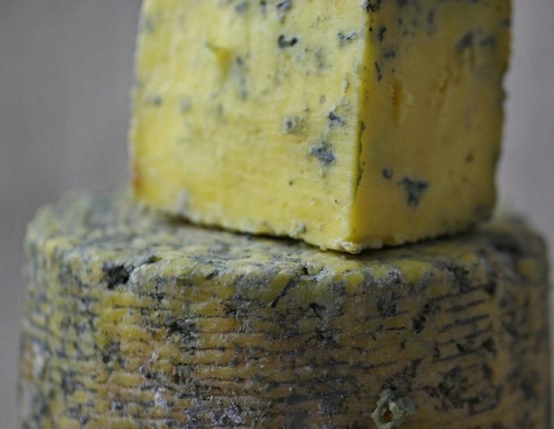 Les avantages et les inconvénients du fromage bleu.  Une histoire étonnante sur le fromage bleu et une rencontre avec un mystérieux inconnu...