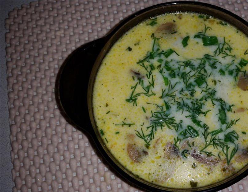 Суп куриный с грибами и сыром рецепт. Сырный суп с грибами и курицей