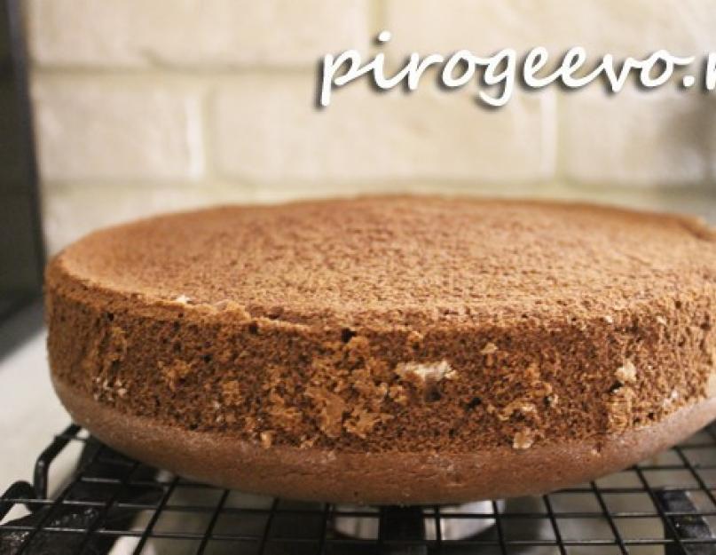 Gâteau éponge en mousseline de soie au café et au chocolat.  Gastronomie maison.  Gâteau éponge en mousseline dans une mijoteuse